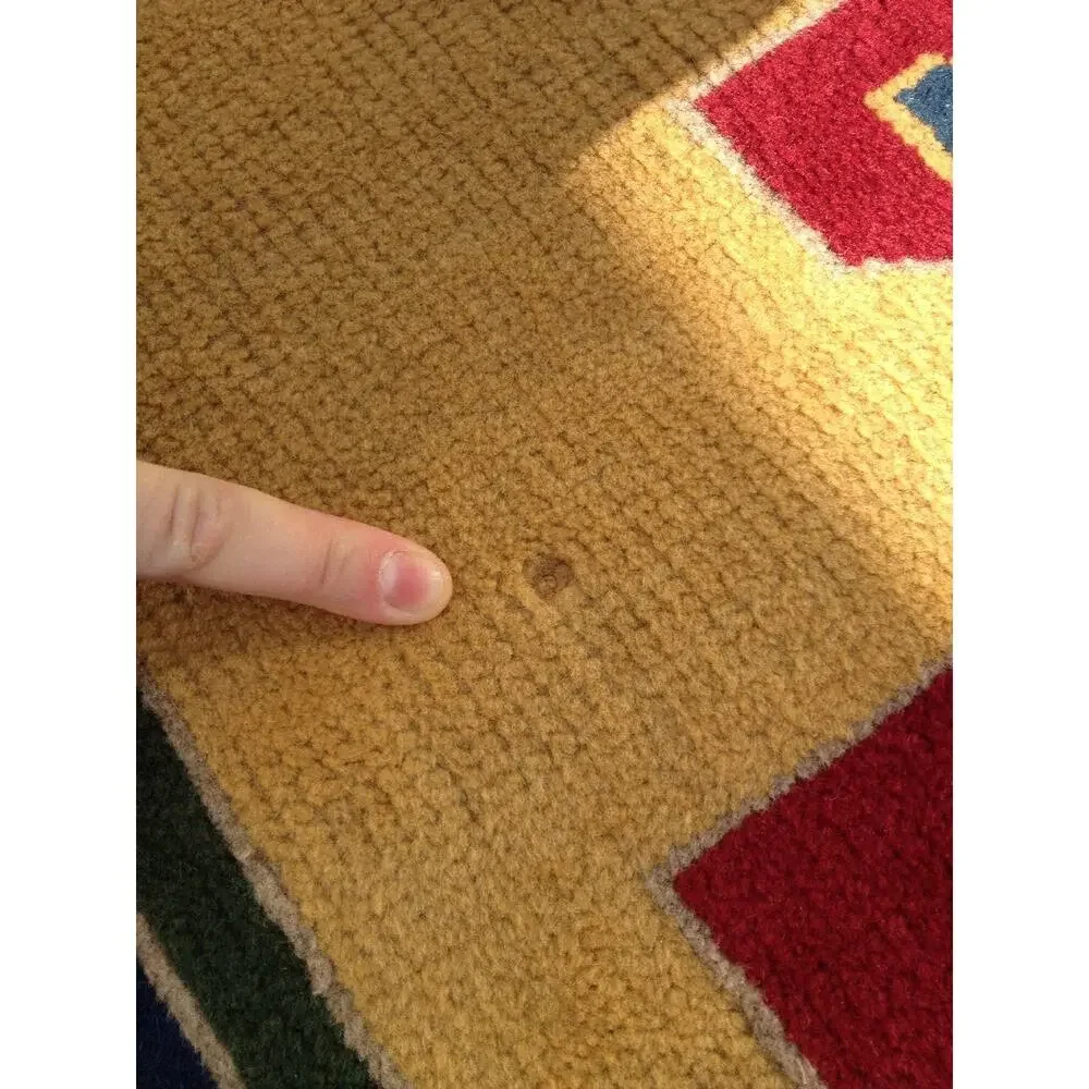 Vintage Antique Colorful Flat Weave Turkish Geometric Area Rug 100% Wool 5x6